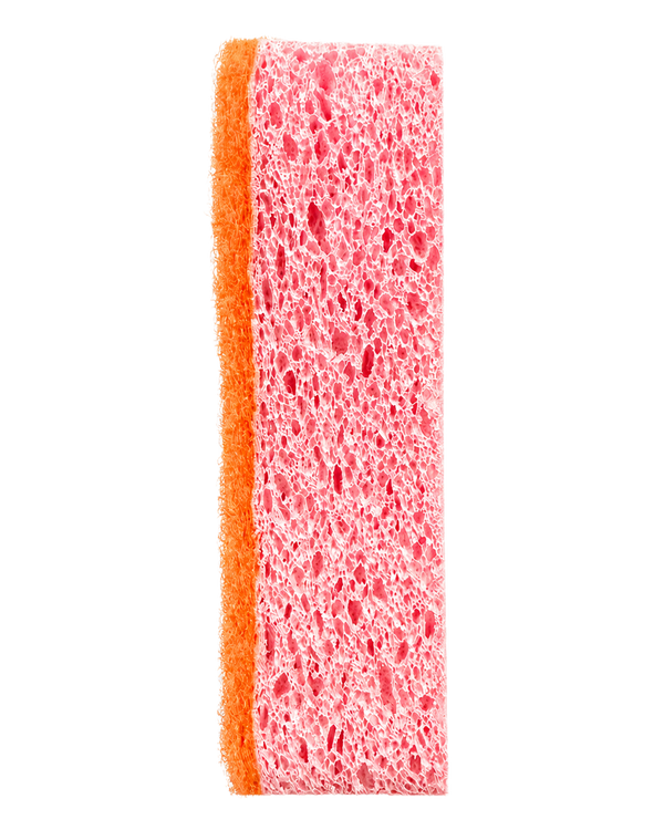Sudsy Pat · The Sponge · Clementine & Rose
