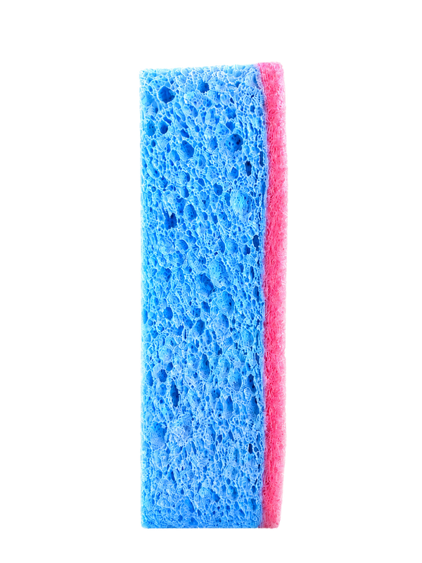 Sudsy Pat · The Sponge · Flamingo & Ocean